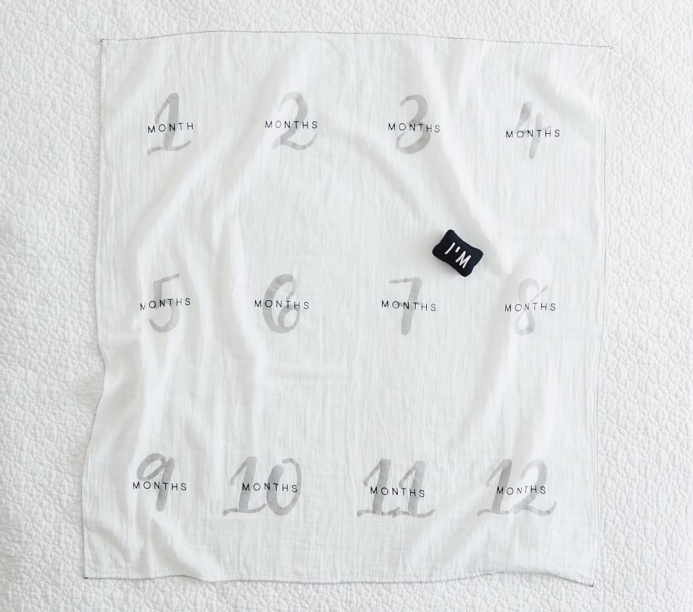 Milestone Blanket